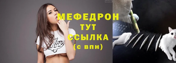 гидра Алапаевск