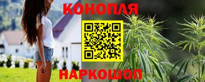 индика Аргун