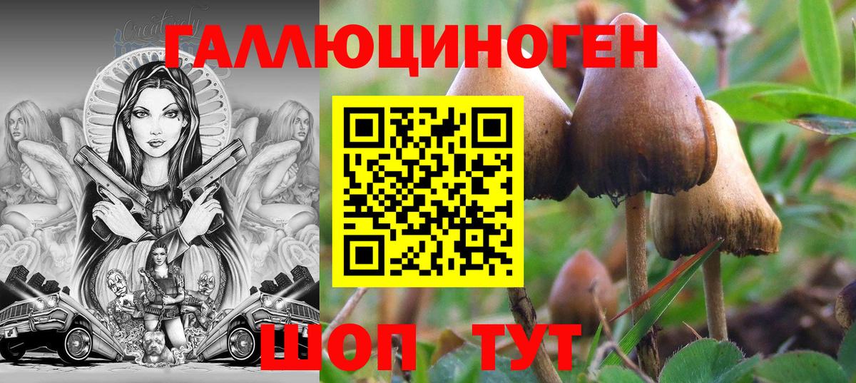 Аргун  Псилоцибиновые грибы мухоморы  Вход с VPN 