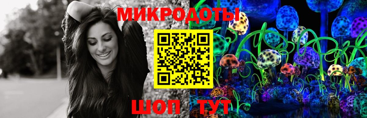 Псилоцибиновые грибы Cubensis  Аргун 